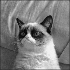 Grumpy Cat - Argentum47